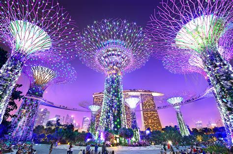 Photo Singapore Gardens By The Bay Park Night Cities