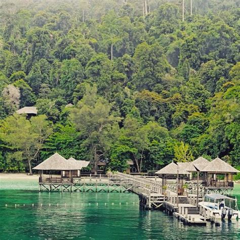 Bunga raya in a sentence and translation of bunga raya in english dictionary with audio pronunciation by dictionarist.com. #Beach or #jungle? Bunga Raya in #Sabah has plenty of both ...