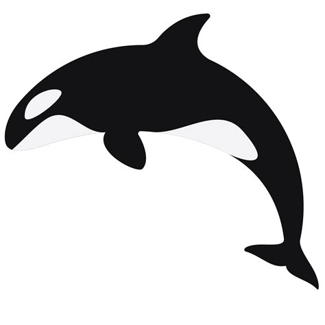 Orca Killer Whale Download Free Vectors Clipart Graphics And Vector Art
