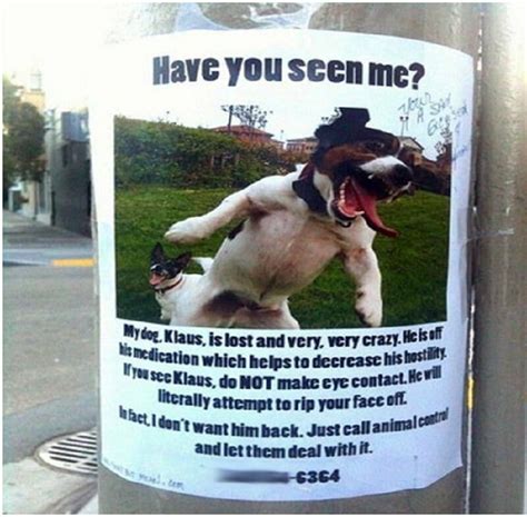 Funny Lost And Found Flyers So Good You May Hurt Yourself Laughing Obsev