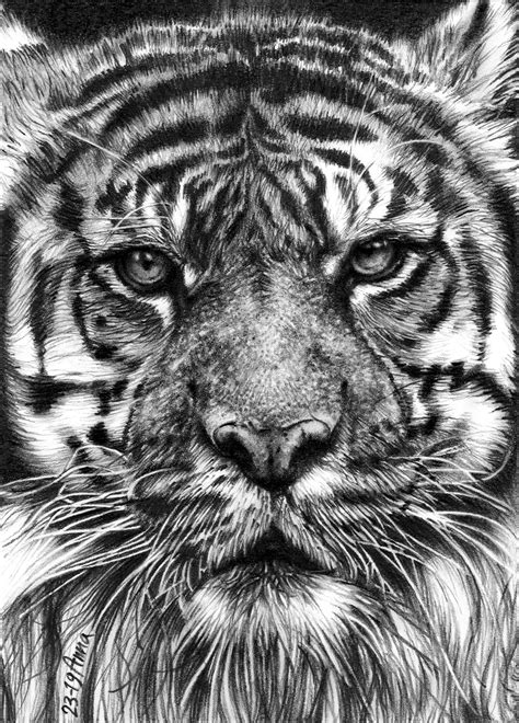 Top 130 Realistic Animal Pencil Drawings