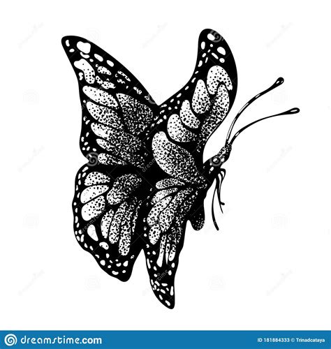 Ink Butterfly Hand Drawing Doodle Insect Sketch Monochrome Print