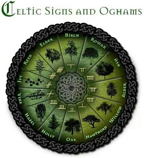 Tree Wisdom The Oghams The Oghams Are A Form Of Celtic Alphabet Which