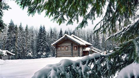 Hd Wallpaper Log Cabin Snow Winter House Tree Nature Woody Plant