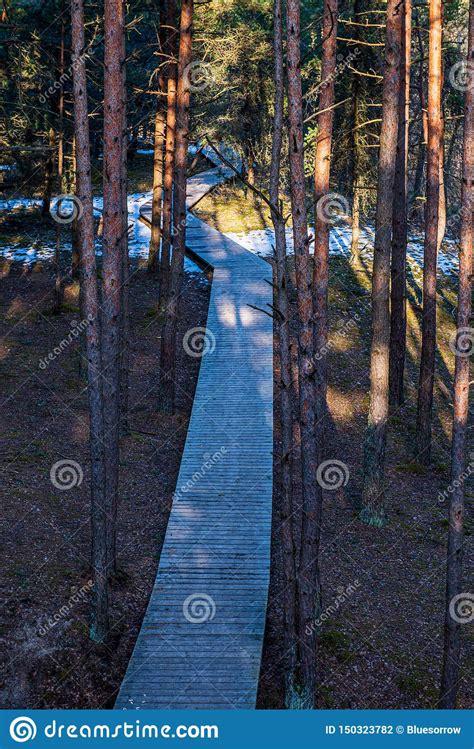 Wooden Plank Footbridge Pathway In Winter Under Snow Stock Photo