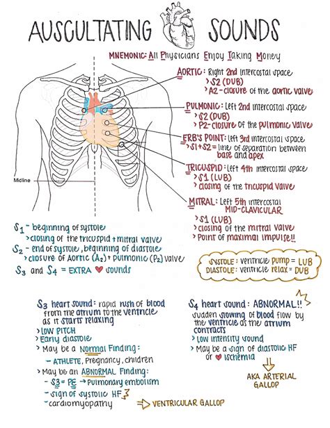 Auscultating Heart Sounds Nur 311 Studocu