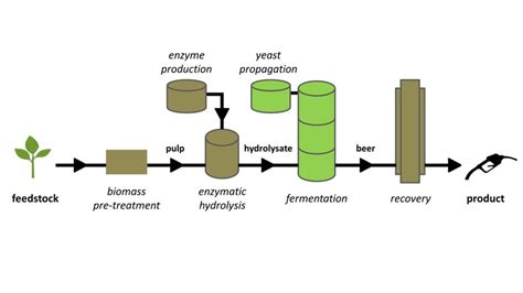 Schematic Process Flow Diagram For Ethanol Production From