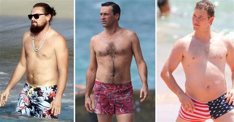 15 Celebs Who Are Totally Rocking The Dadbod Thethings