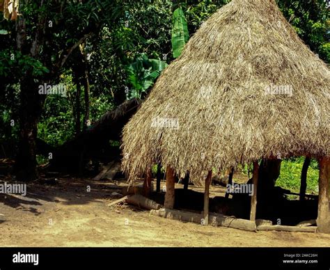 Traditional Hut In A Village Near Makeni Sierra Leone Stock Photo Alamy