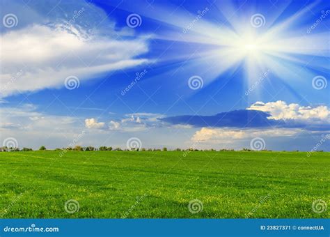 Spring Sunny Day Stock Image Image Of Scenery Grass 23827371