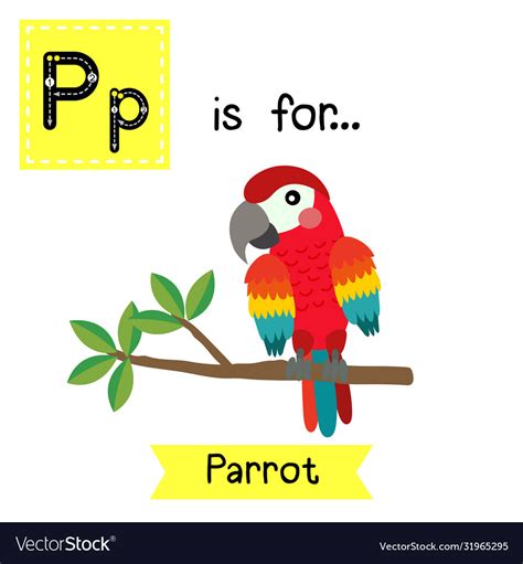 Letter P Tracing Red Parrot Bird Royalty Free Vector Image