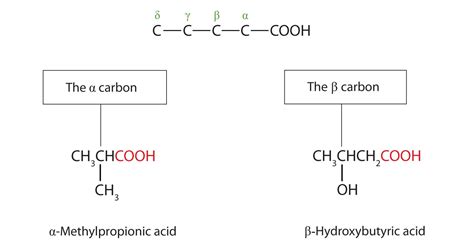Carboxylic Acids Structures And Names
