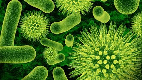 Nature Closeup Microscopic Viruses Bacteria Science Green