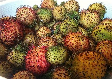 Rambutan merah dan kuning kartun. Aneka Jenis Rambutan Yang Manis Dan Nikmat Untuk Dinikmati