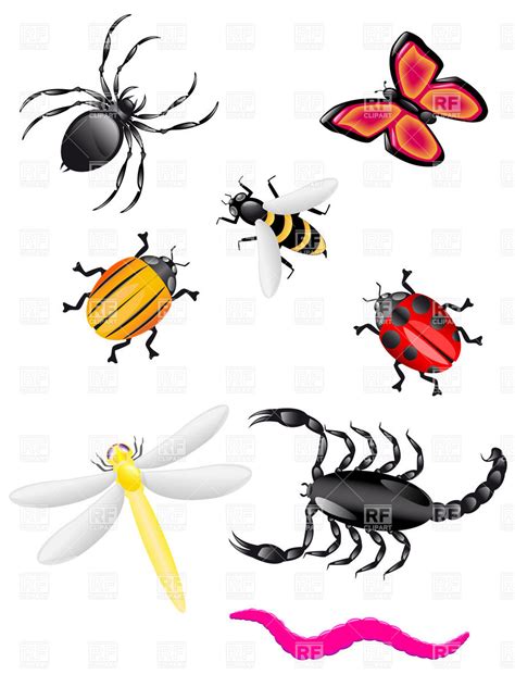 Insect Bug Clipart 2 Image 2 Clipartix