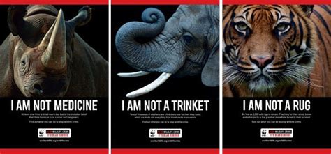 World Wildlife Fund Anti Poaching Campaign Avoids Violent Images The