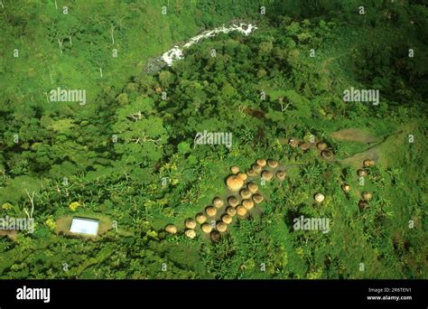 Typical Yali Village In The Mountains West Papua West New Guinea