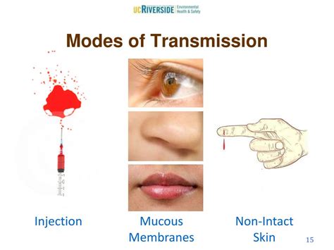 PPT - Bloodborne Pathogens PowerPoint Presentation, free download - ID