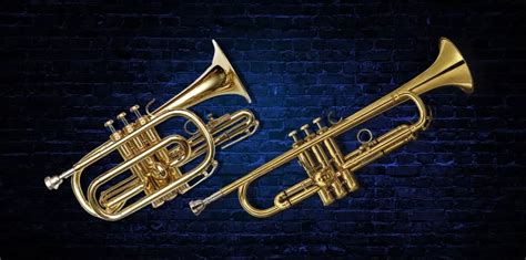 Cornet Vs Trumpet Teds List