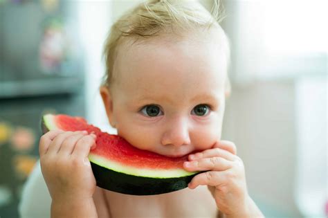 Every summer we hand out watermelons to the cats that live. When Can Babies Eat Cheerios, Puffs, & Other Foods Safely ...