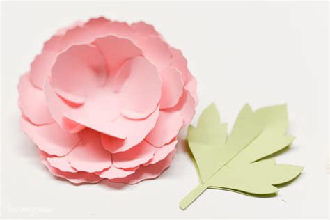 How To Make 3d Cricut Cardstock Flowers Step By Step Instructions