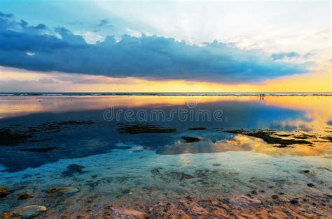 Tropical Sunset At Low Tide Stock Photo Image Of Night Coastline