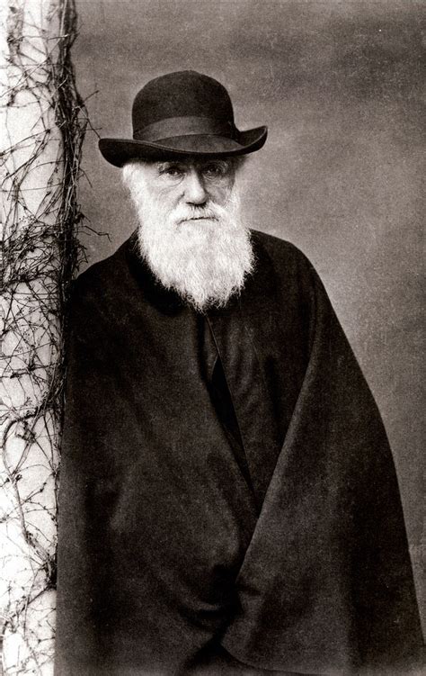Portraits Of Charles Darwin Wikipedia The Free Encyclopedia Darwin