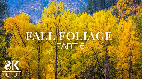 8k Animated Screensaver With Soothing Music Fall Foliage 6 Proartinc