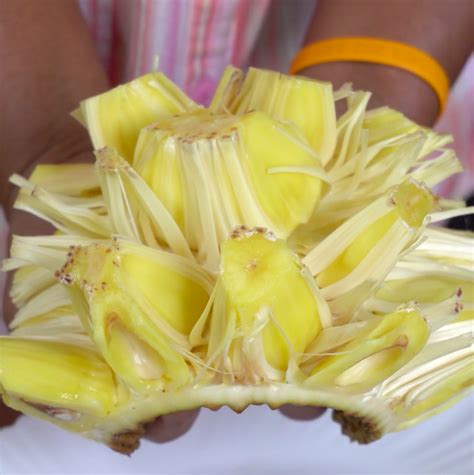 Jackfruit May Be The Best Meat Replacement Video