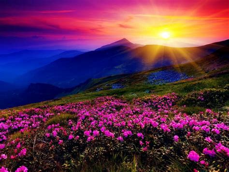 Mountain Sunrise Mountain Landscape Valley Of Flowers Beautiful