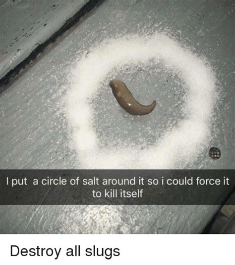 Can you flush a slug down the toilet? Put a Circle of Salt Around It So I Could Force It to Kill ...