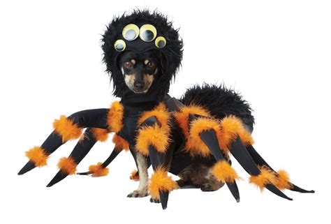 Black Widow Tarantula Spider Pup Pet Dog Costume Size Large 20149
