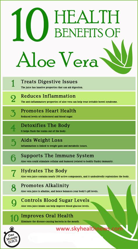 Aloe Vera Juice Is One Of World Pure Natures Great Healers Gel Absorb