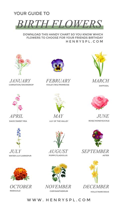 Birth Month Flower Chart Printable