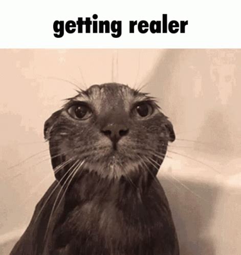 Getting Realer Get Real GIF Getting Realer Get Real Ifunny Discover