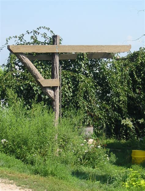 Maybe you would like to learn more about one of these? Bench - Table - Chair: Access Plans for building a grape arbor