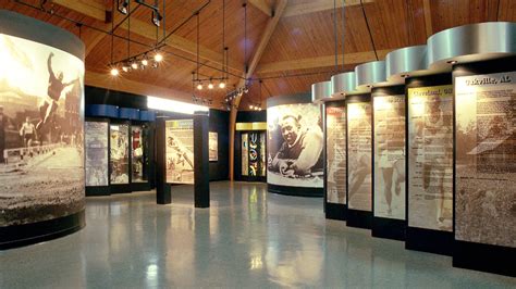 Custom Displays For Museum Exhibits And Visitor Centers