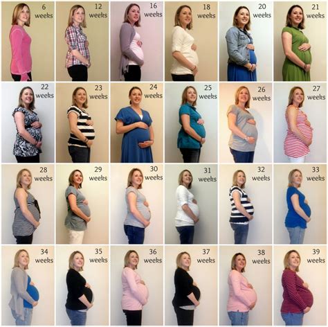 The Belly Guide Pregnant Nivea Fave Rarte Satelie