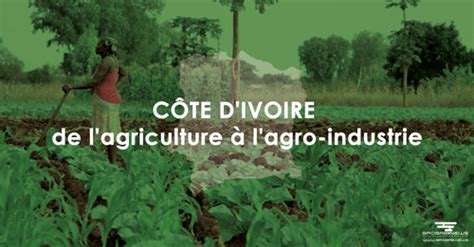 CÔTE D'IVOIRE De l'agriculture à l'agroindustrie  L'actualité
