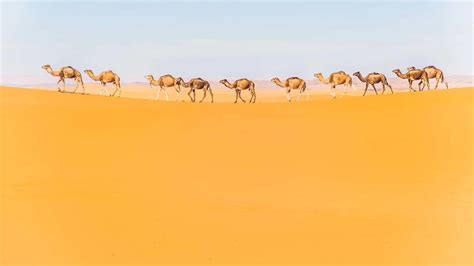 Our Favourite Things To Do In The Sahara Desert Morocco