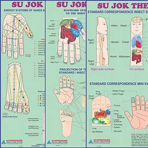 Sujok Points Chart Acupuncture Points Chart Pdf Acupressure