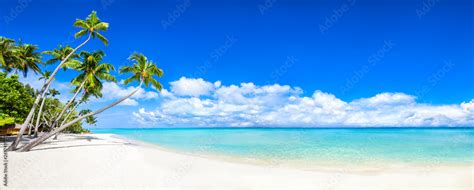 Poster Beautiful Tropical Island With Palm Trees And Beach Panorama As