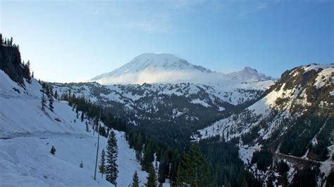 Visit Mount Rainier National Park In Longmire Expedia
