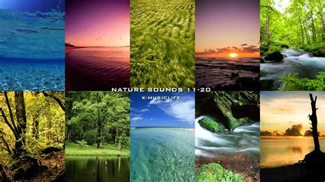 The Sound Of Nature This Wallpapers
