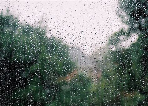 Rain On Window Free Photo Download Freeimages