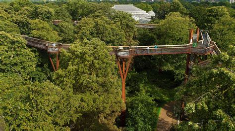Treetop Walkway Kew