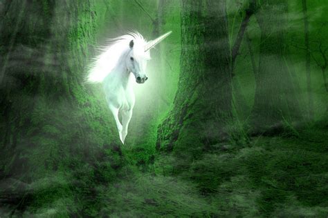 Unicorn In Forest Print A Wallpaper