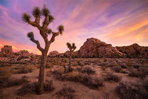 Gallery Desert Landscapes