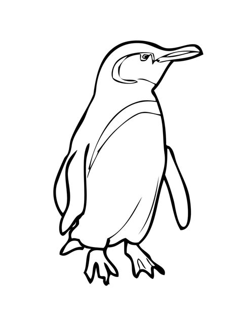 Cartoon Penguin Coloring Pages