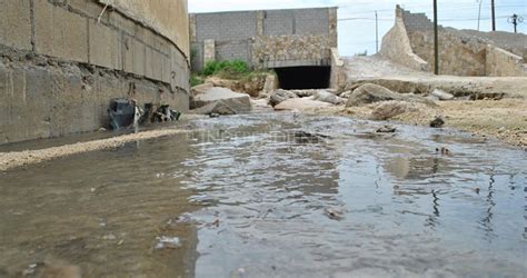 Grave Contaminación Por “arroyo” De Aguas Negras En El Vado De Santa